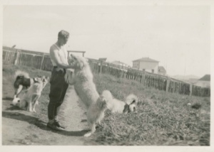 Image of Dogs with White man